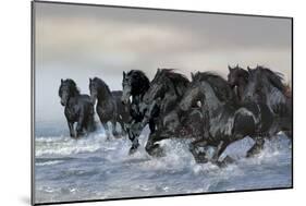 Dream Horses 019-Bob Langrish-Mounted Photographic Print