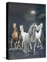 Dream Horses 020-Bob Langrish-Stretched Canvas