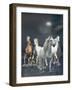 Dream Horses 020-Bob Langrish-Framed Photographic Print