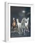 Dream Horses 020-Bob Langrish-Framed Photographic Print