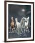 Dream Horses 020-Bob Langrish-Framed Premium Photographic Print