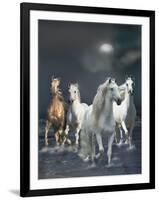 Dream Horses 020-Bob Langrish-Framed Photographic Print