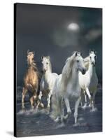 Dream Horses 020-Bob Langrish-Stretched Canvas