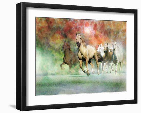 Dream Horses 022-Bob Langrish-Framed Photographic Print