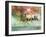 Dream Horses 022-Bob Langrish-Framed Photographic Print