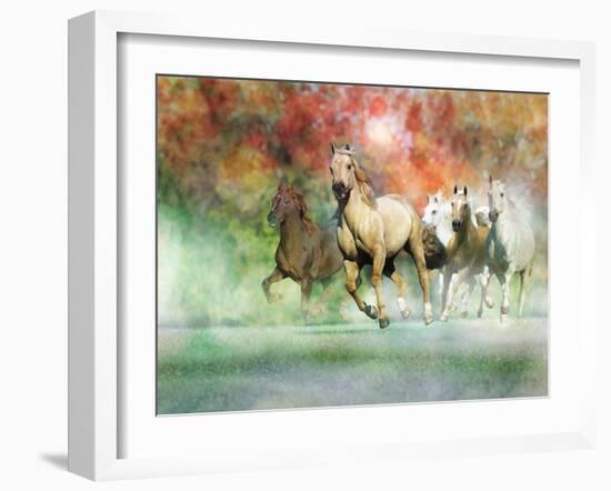 Dream Horses 022-Bob Langrish-Framed Photographic Print