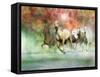 Dream Horses 022-Bob Langrish-Framed Stretched Canvas