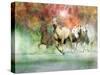 Dream Horses 022-Bob Langrish-Stretched Canvas