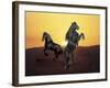 Dream Horses 024-Bob Langrish-Framed Photographic Print