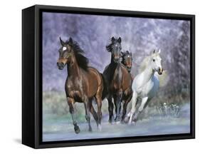 Dream Horses 027-Bob Langrish-Framed Stretched Canvas