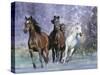 Dream Horses 027-Bob Langrish-Stretched Canvas