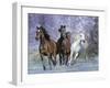 Dream Horses 027-Bob Langrish-Framed Photographic Print
