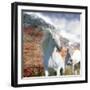 Dream Horses 031-Bob Langrish-Framed Photographic Print