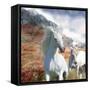Dream Horses 031-Bob Langrish-Framed Stretched Canvas