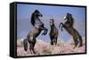 Dream Horses 033-Bob Langrish-Framed Stretched Canvas