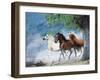 Dream Horses 034-Bob Langrish-Framed Photographic Print