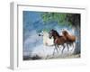 Dream Horses 034-Bob Langrish-Framed Photographic Print