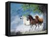 Dream Horses 034-Bob Langrish-Framed Stretched Canvas