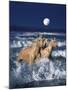 Dream Horses 036-Bob Langrish-Mounted Photographic Print