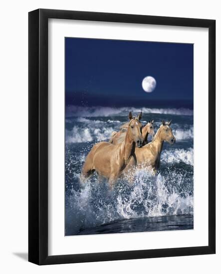 Dream Horses 036-Bob Langrish-Framed Photographic Print