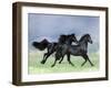 Dream Horses 038-Bob Langrish-Framed Photographic Print