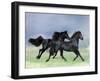 Dream Horses 038-Bob Langrish-Framed Photographic Print