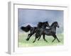 Dream Horses 038-Bob Langrish-Framed Photographic Print