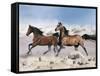 Dream Horses 039-Bob Langrish-Framed Stretched Canvas