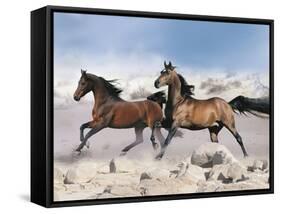 Dream Horses 039-Bob Langrish-Framed Stretched Canvas