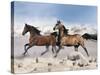 Dream Horses 039-Bob Langrish-Stretched Canvas