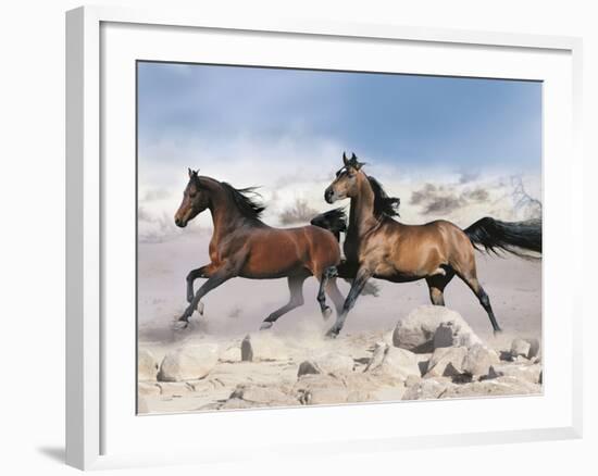 Dream Horses 039-Bob Langrish-Framed Photographic Print