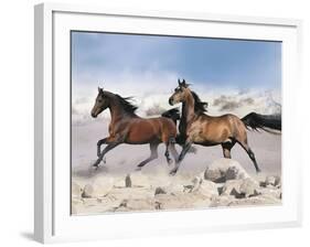 Dream Horses 039-Bob Langrish-Framed Photographic Print