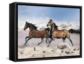 Dream Horses 039-Bob Langrish-Framed Stretched Canvas