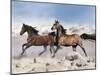 Dream Horses 039-Bob Langrish-Mounted Premium Photographic Print