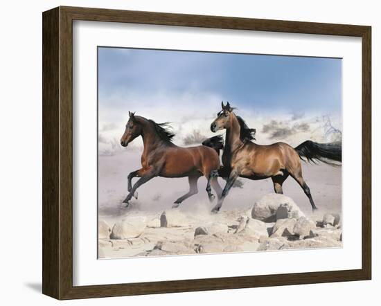 Dream Horses 039-Bob Langrish-Framed Photographic Print