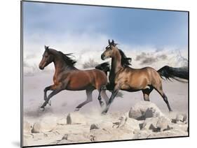 Dream Horses 039-Bob Langrish-Mounted Photographic Print