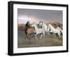 Dream Horses 043-Bob Langrish-Framed Photographic Print