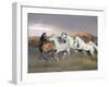 Dream Horses 043-Bob Langrish-Framed Photographic Print