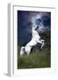 Dream Horses 045-Bob Langrish-Framed Photographic Print