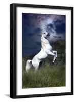 Dream Horses 045-Bob Langrish-Framed Premium Photographic Print