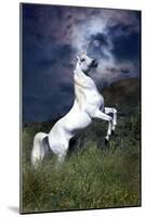 Dream Horses 045-Bob Langrish-Mounted Premium Photographic Print