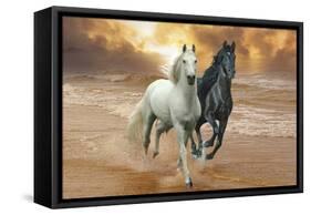 Dream Horses 046-Bob Langrish-Framed Stretched Canvas