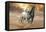 Dream Horses 046-Bob Langrish-Framed Stretched Canvas
