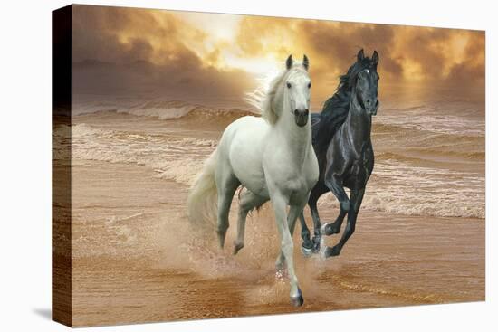 Dream Horses 046-Bob Langrish-Stretched Canvas