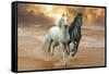 Dream Horses 046-Bob Langrish-Framed Stretched Canvas