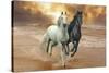 Dream Horses 046-Bob Langrish-Stretched Canvas