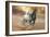 Dream Horses 046-Bob Langrish-Framed Photographic Print