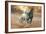 Dream Horses 046-Bob Langrish-Framed Photographic Print