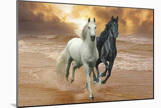 Dream Horses 046-Bob Langrish-Mounted Photographic Print