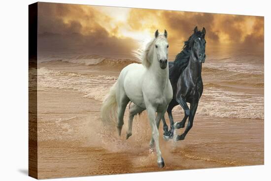 Dream Horses 046-Bob Langrish-Stretched Canvas